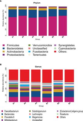 Characteristics of the Intestinal Flora of TPOAb-Positive Women With Subclinical Hypothyroidism in the Second Trimester of Pregnancy: A Single-Center Prospective Cohort Study